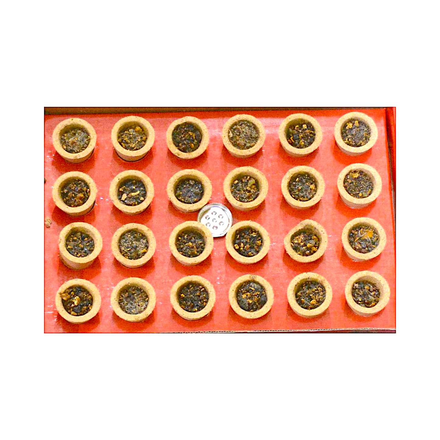 Jai Hanuman Puja incense Sambrani cups, 24pc (MOQ=dz)
