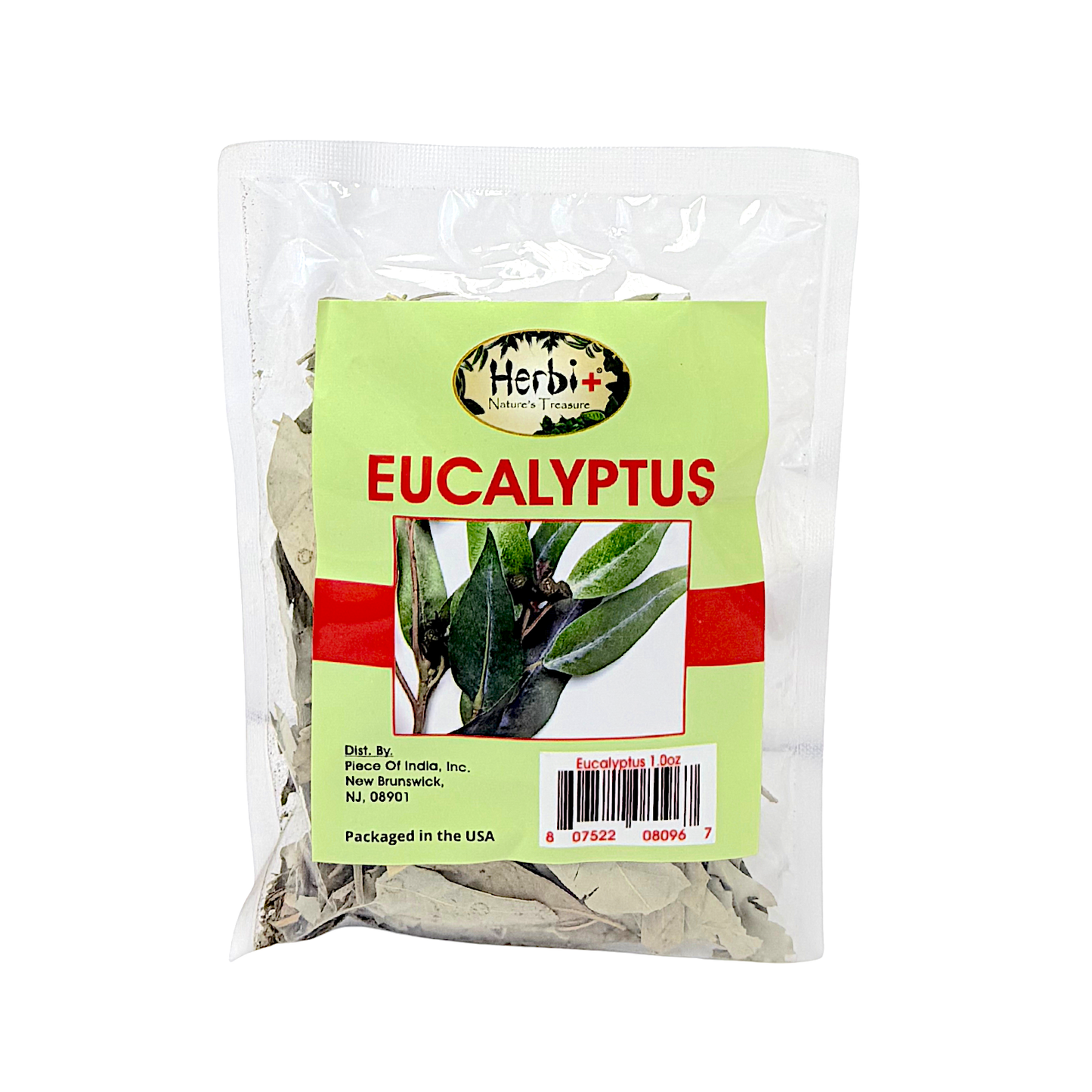 Eucalyptus leaves (hojas de eucalypto) 1oz 34-8096 (MOQ=dz)