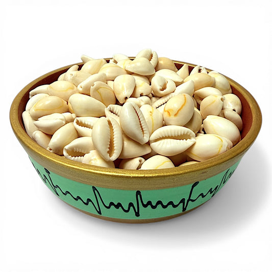 Cowrie Shells, 1 inch, 1.5oz