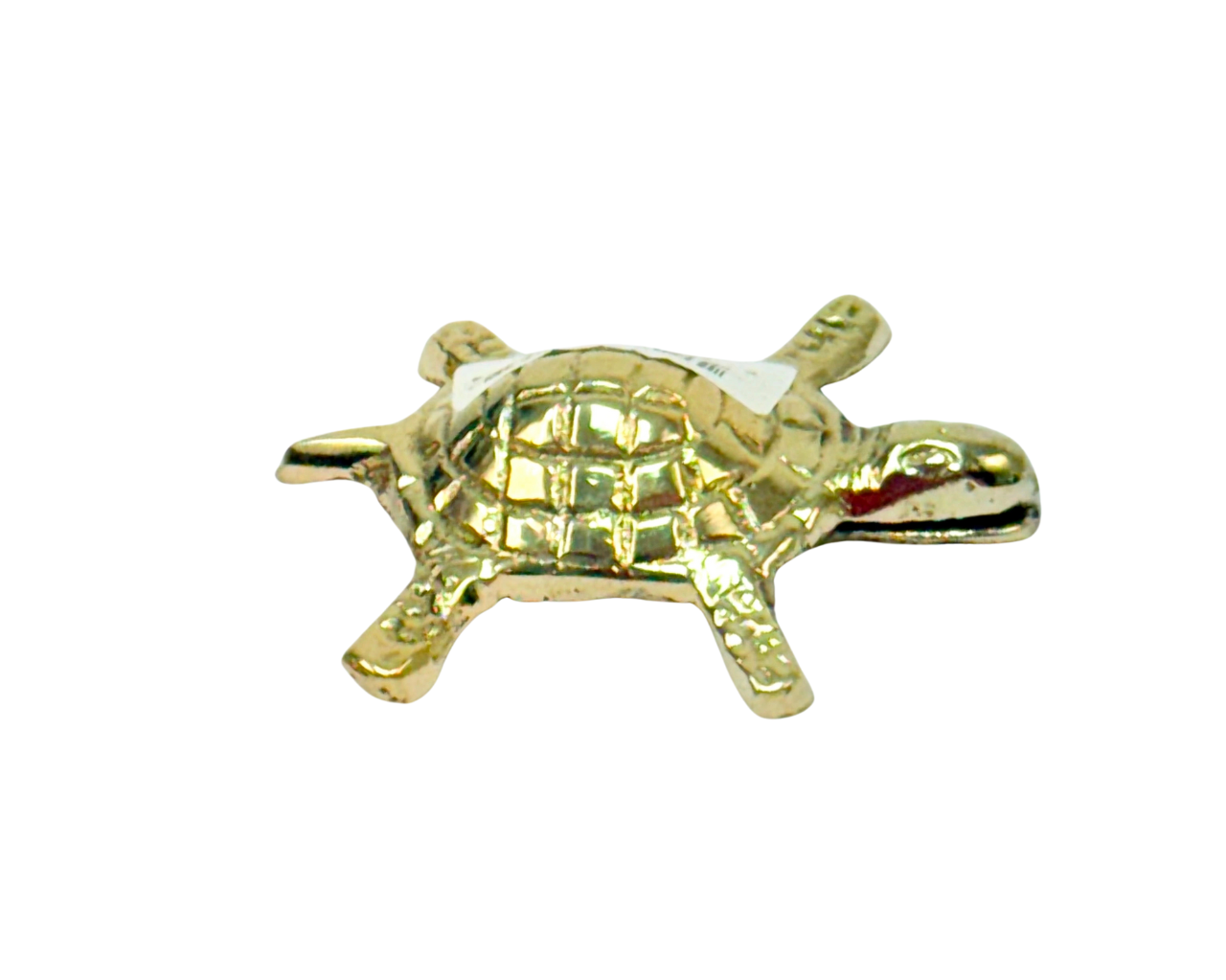 Brass Turtle 2.5 inch (MOQ=ea)