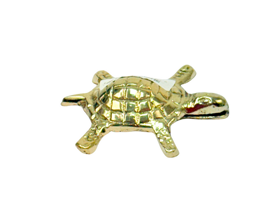 Brass Turtle 2.5 inch (MOQ=ea)