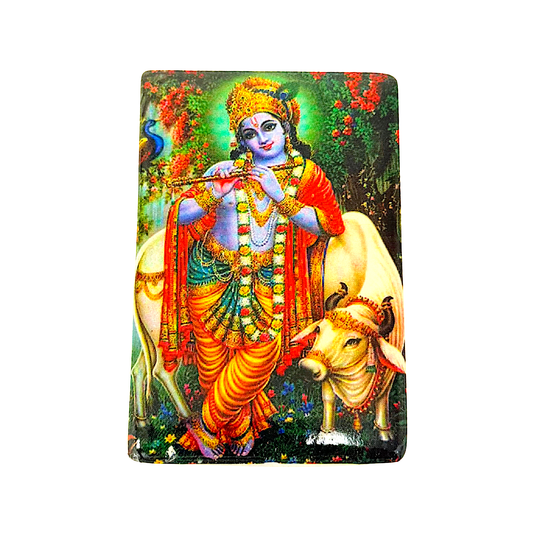 Fridge Magnet, Assorted hindu gods, UD24-01 (MOQ=dz)